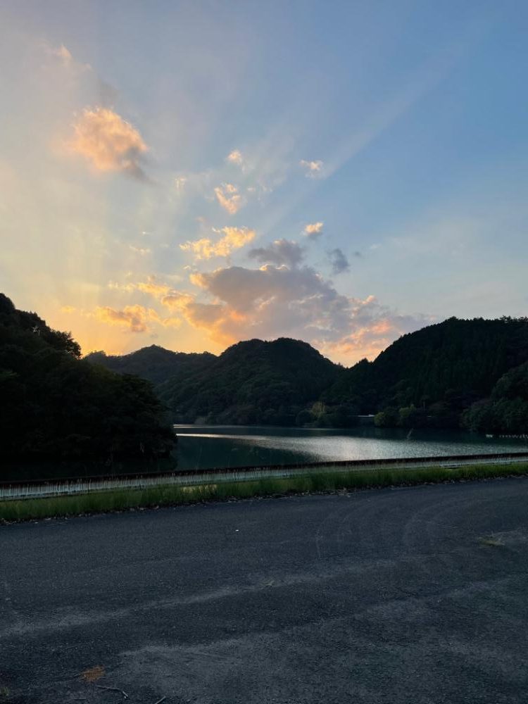 今日も今日とて