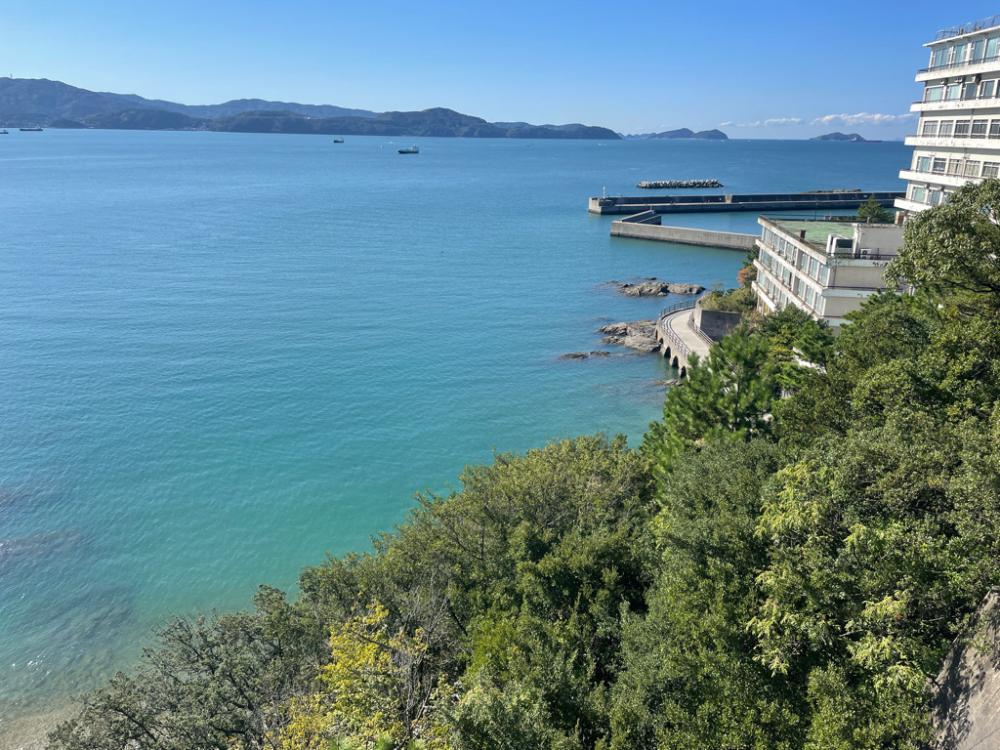 今日のエギングの釣果