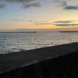 釣りパイセンやべー