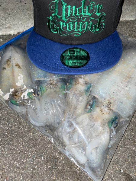 仕事終わりまたもやエギング！