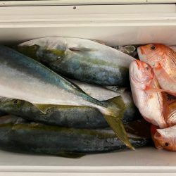 ジギング、タイラバ