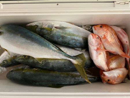 ジギング、タイラバ