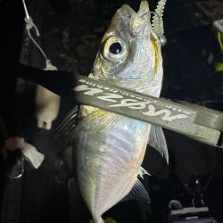 ボートアジング