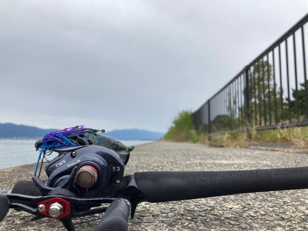 琵琶湖も一気に秋めいてきました