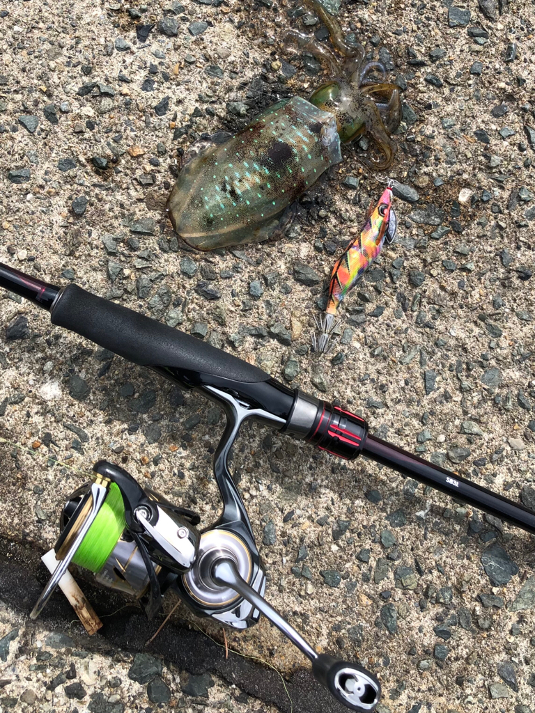 ラッキーキャッチ