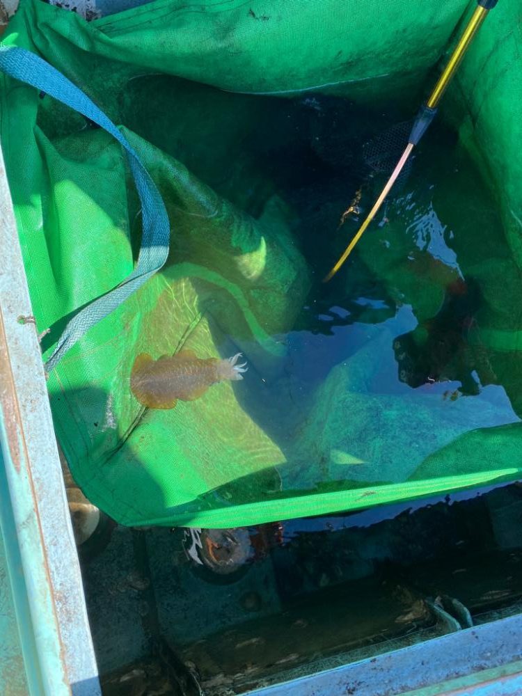 和歌山ティップラン