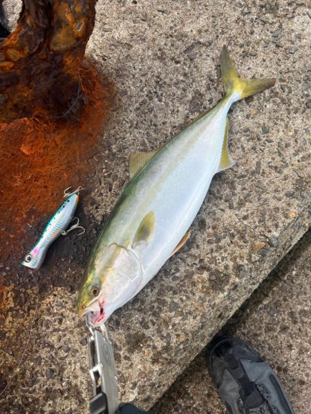 久しブリ、久々投稿