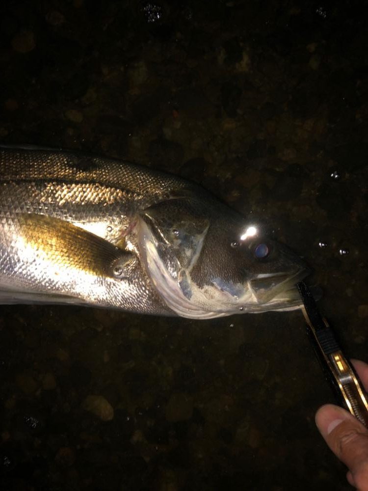 いるけど口を使わない