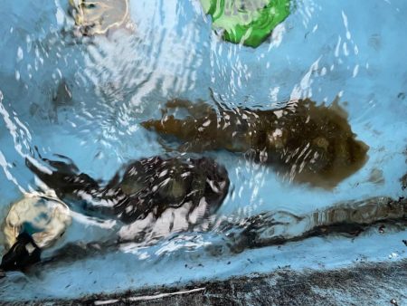 明日から陽気が悪くなるので