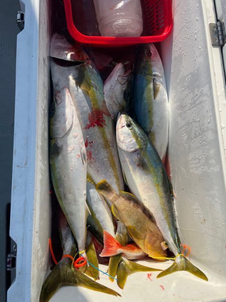 丹後沖ジギング