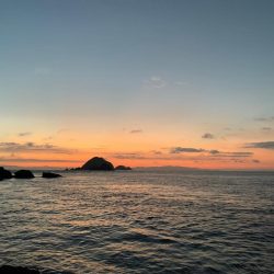 久々のグレ‼︎