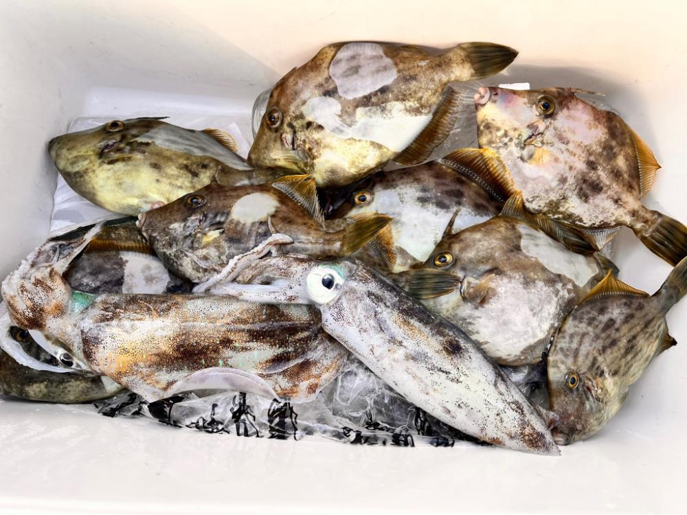 イカしてハゲしてアレもして