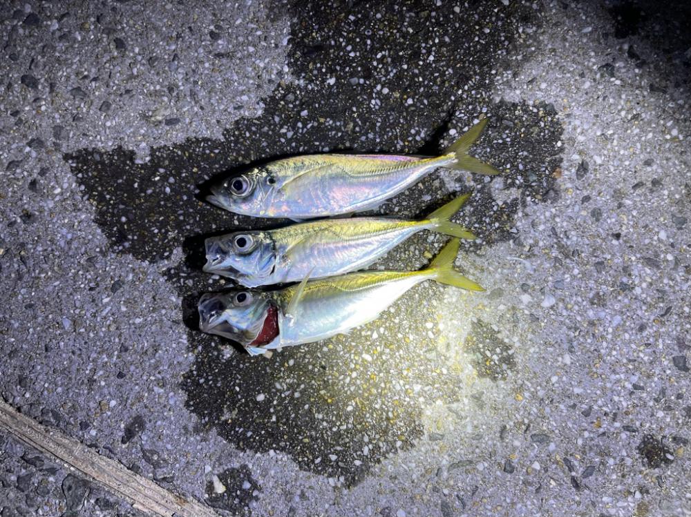 親友カップルと釣り