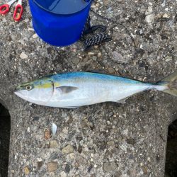 当たるけどなかなか乗らない