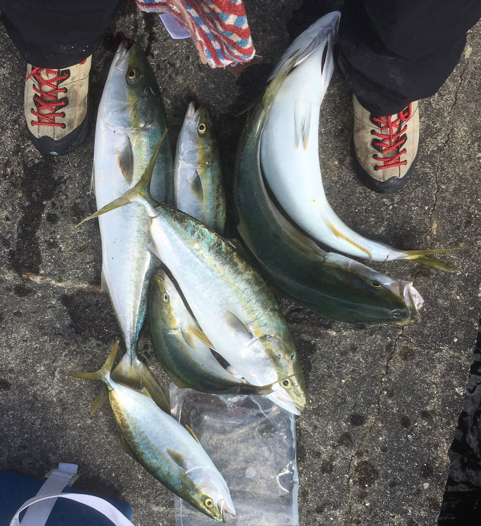 第8回雰囲気あります。