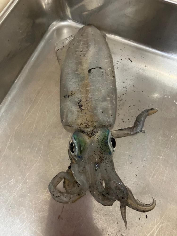 噂通りの絶好調?