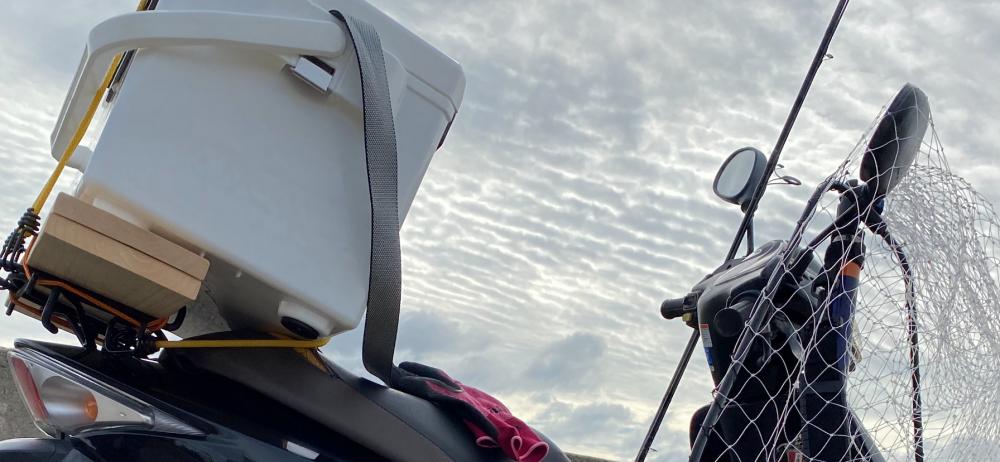 銀色の魚とエソ