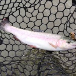 オープンしたてのフィッシャーリゾート庄原！…