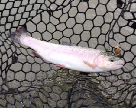 オープンしたてのフィッシャーリゾート庄原！…