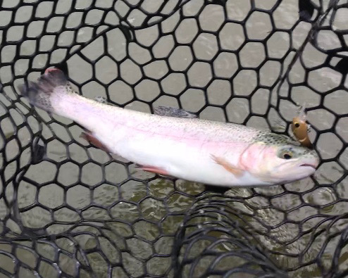 オープンしたてのフィッシャーリゾート庄原！