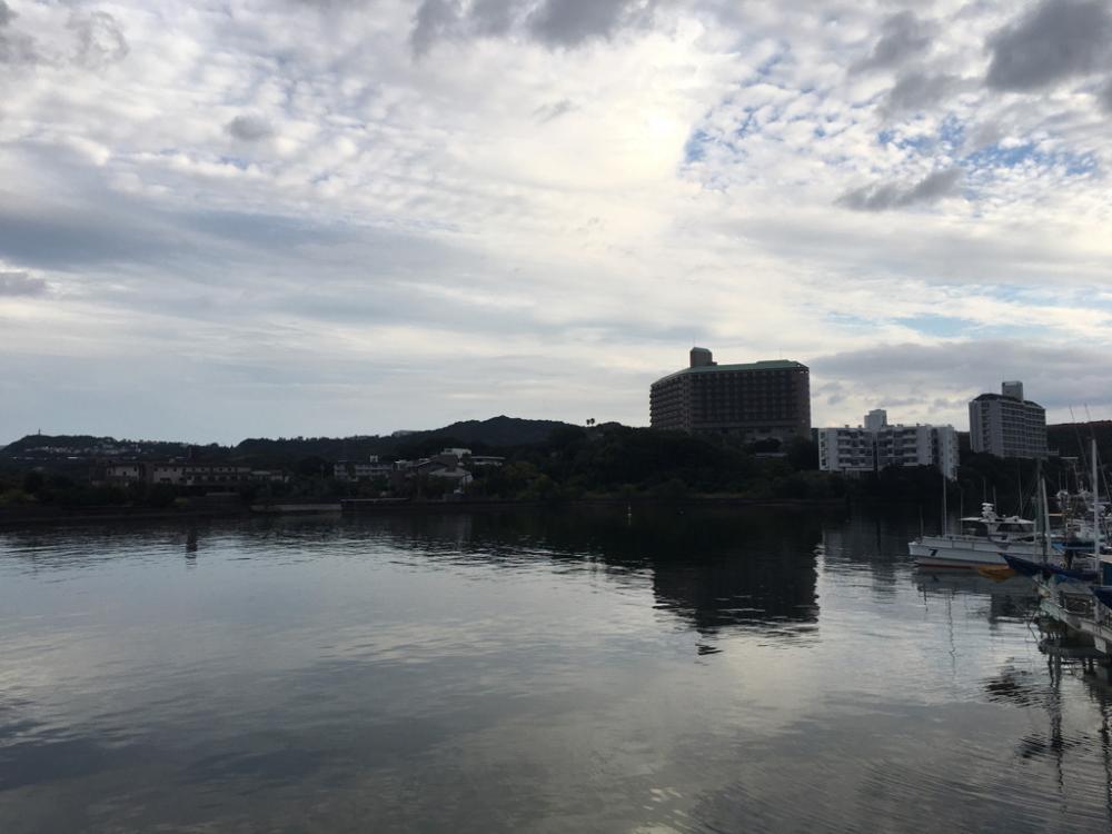 大きなタカノハダイ!