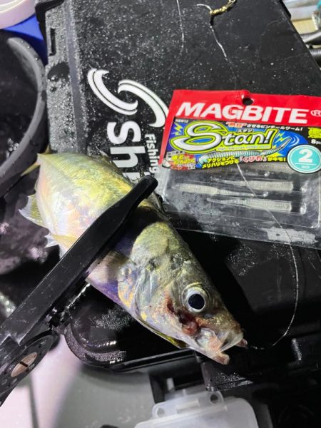 ナイトアジングゲーム