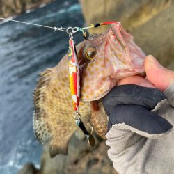 オオモンハタはジグとワームで攻略