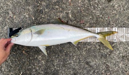 初ノマセで2枚抜き