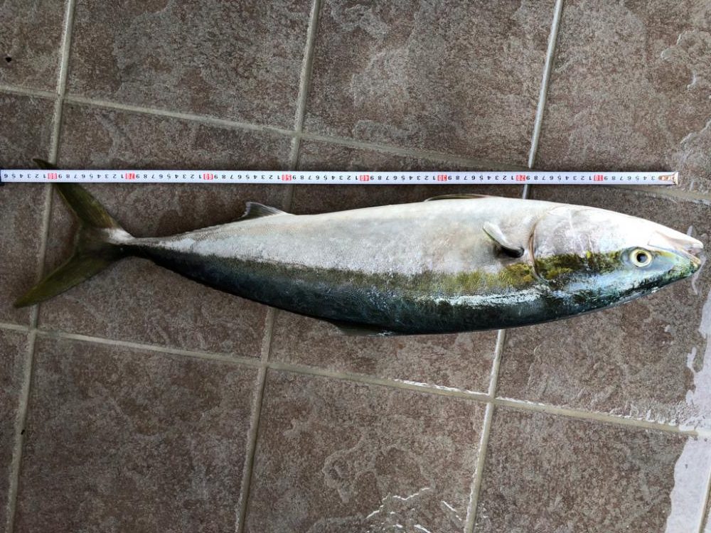 トップでヒット！