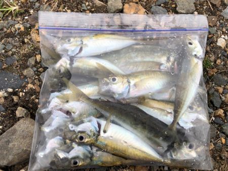 デイアジングおもしろ！