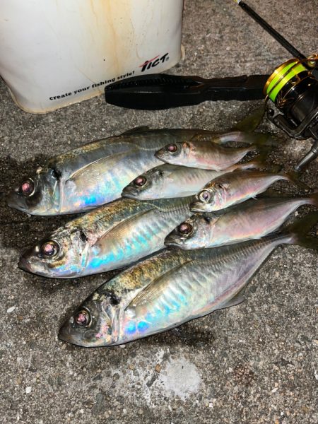 ピッタリ尺サイズ