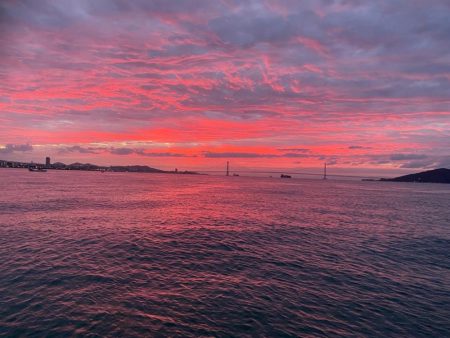 アオリイカ　丸松乗合船