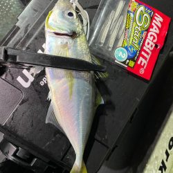 ボートアジング！