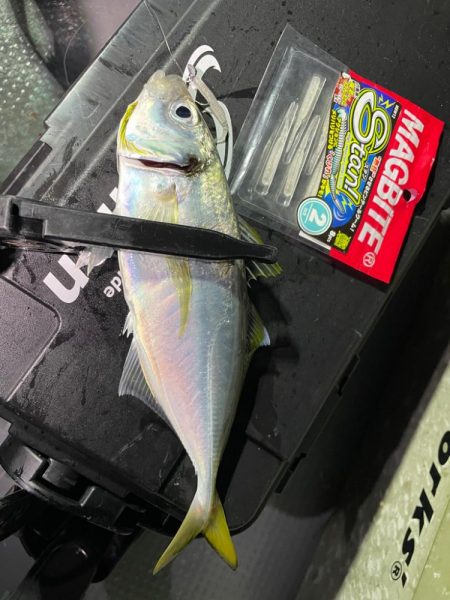 ボートアジング！