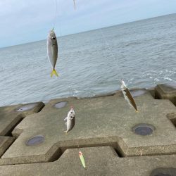 なんとかボウズ逃れ(((;꒪ꈊ꒪;)))