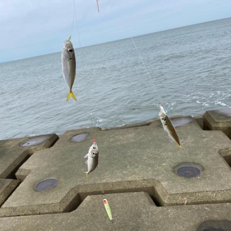 なんとかボウズ逃れ(((;꒪ꈊ꒪;)))