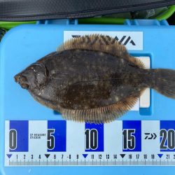 落ちギス、乗っ込みカレイ狙い