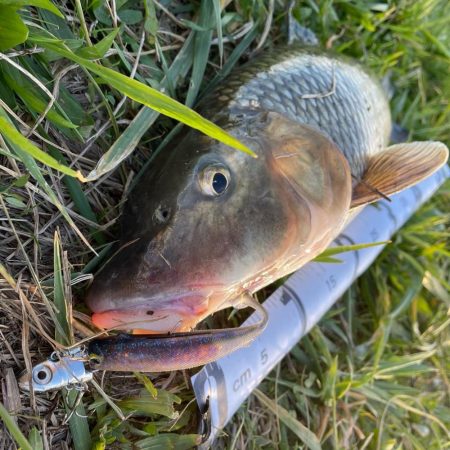 どでかいの釣れたど‼︎♬