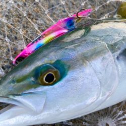 釣れない時間帯のマキマキバイブ最高！