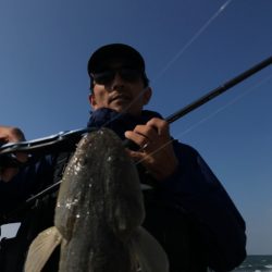 久しぶりのマゴチ