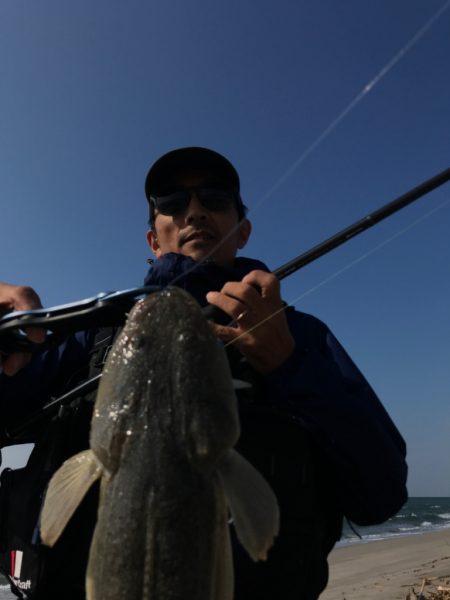 久しぶりのマゴチ