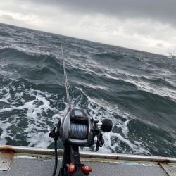 荒ます釣り船でウタセ真鯛