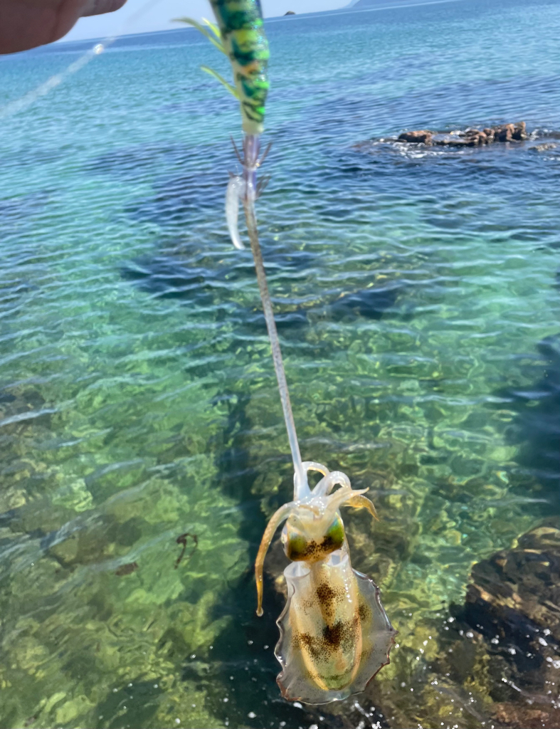 朝のキモはシャロー