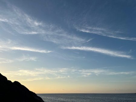 このカラーが強すぎる