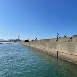 岸和田一文字　飲ませ釣り