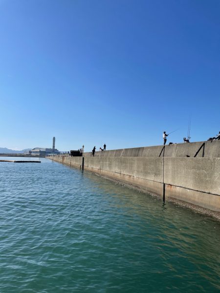 岸和田一文字　飲ませ釣り