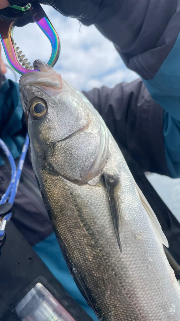 メタルジグにて