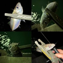 加重変化の違和感アタリ