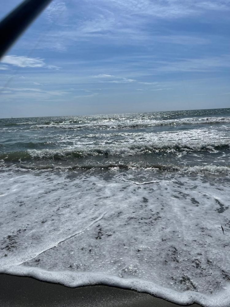 ソゲが遊んでくれました！