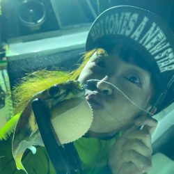 バチコンアジング